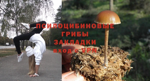 скорость Арсеньев