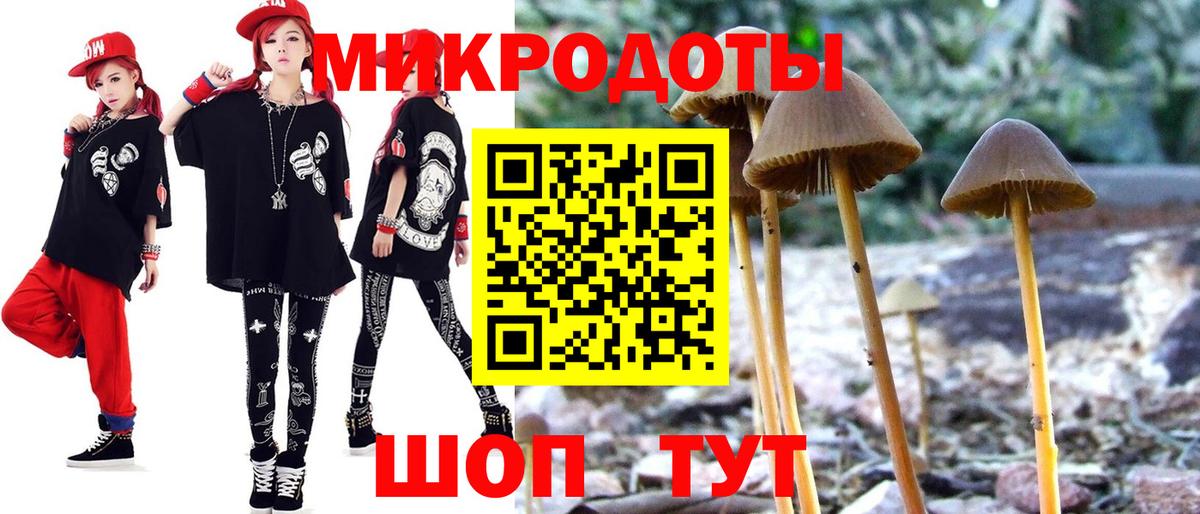 Псилоцибиновые грибы Magic Shrooms  Вход с VPN  Карабулак 